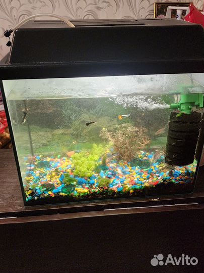 Аквариум с рыбками