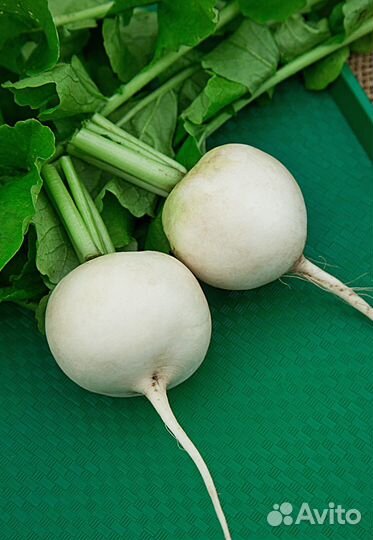 Семена овощей