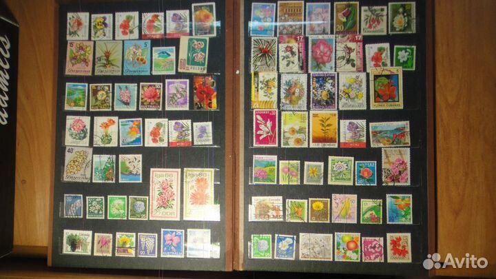 Марки мира Флора, цветы. 500 марок