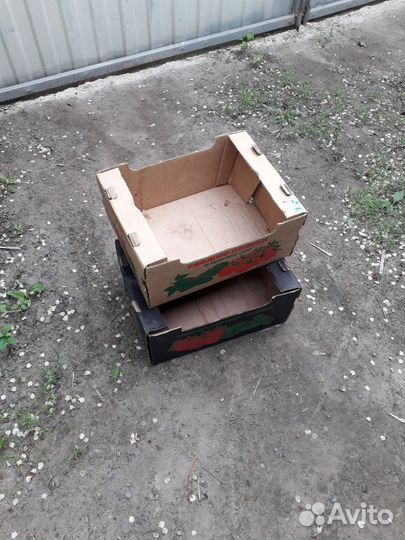 Евро тара,картонные коробки из под овощей