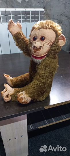 Обезьяна СССР