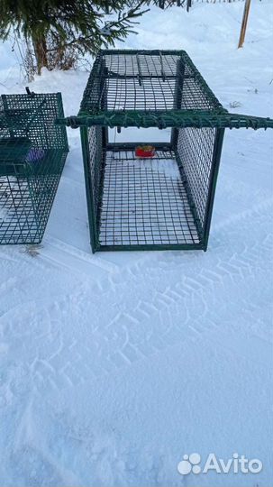 Сдам в аренду собаколовку,кошколовку