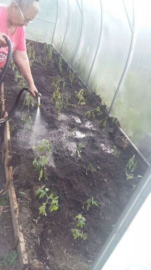 Дача 20 м² на участке 4,7 сот.