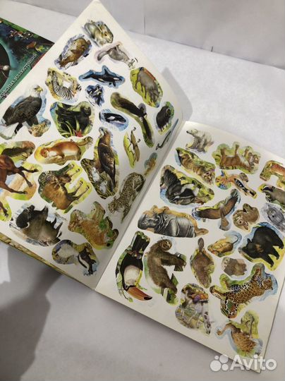 Детские книги виммельбух наклейки