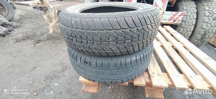 Forward Dinamic 730 195/65 R15 91T
