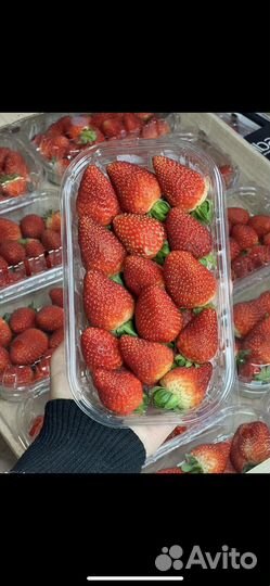 Клубника свежая