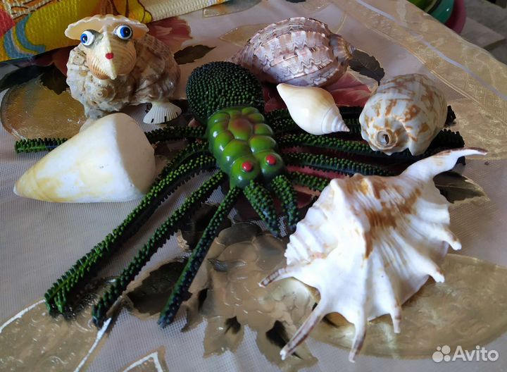 Морские ракушки с Черного моря, игрушки качеств