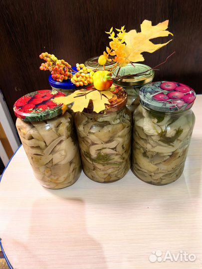 Грузди, коровники, обабки