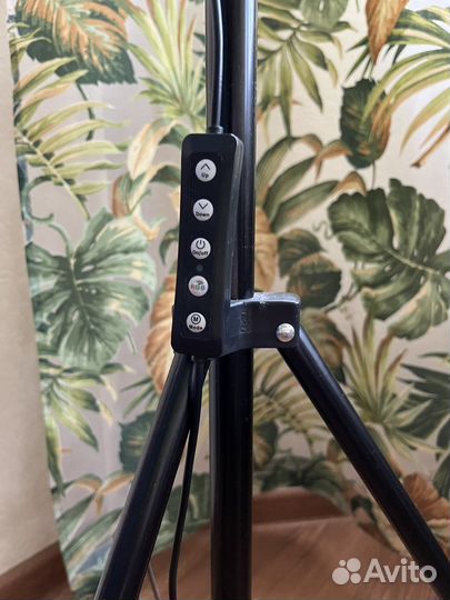 Лампа кольцевая со штативом