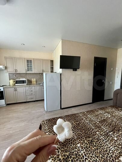 Квартира-студия, 28,2 м², 8/10 эт.