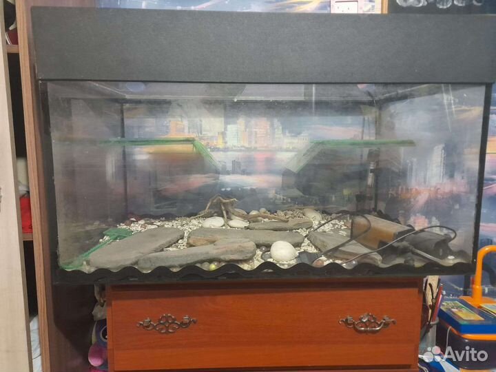 Аквариум