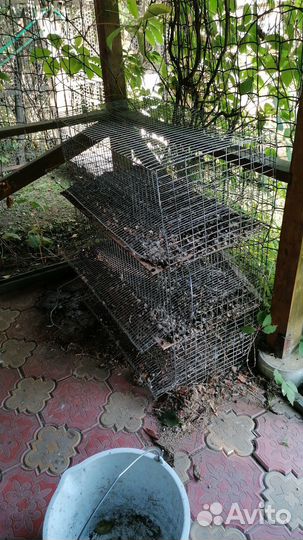 Клетки для перепелов бу