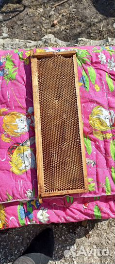 Рамка с сушью