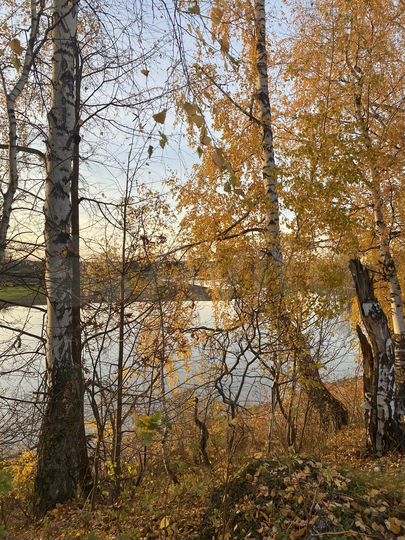 Участок 18 сот. (ИЖС)