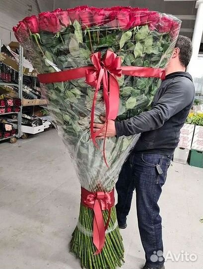 101 роза цветы букеты доставка 25 51 101 роза