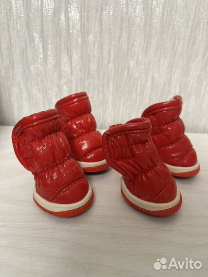 Ботинки для маленьких собак