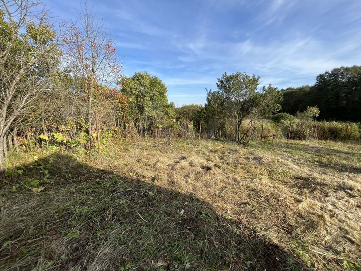 Участок 5 сот. (ИЖС)