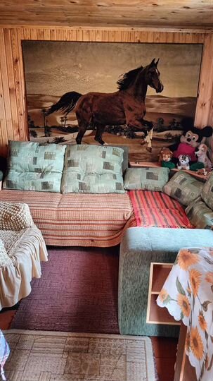 Дача 26,4 м² на участке 5 сот.