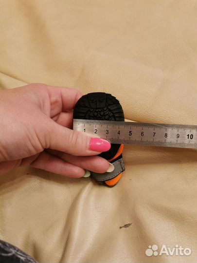 Обувь для собак мелких пород