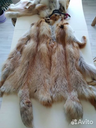 Лисьи шкуры