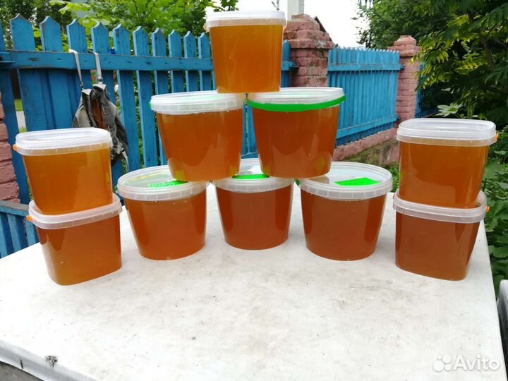 Мёд свежий 2023г. Доставка по городу