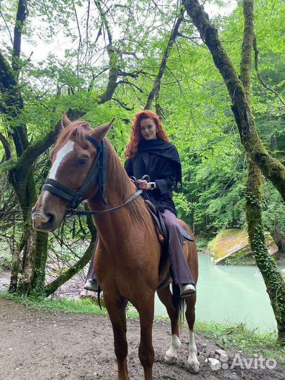 Конные прогулки