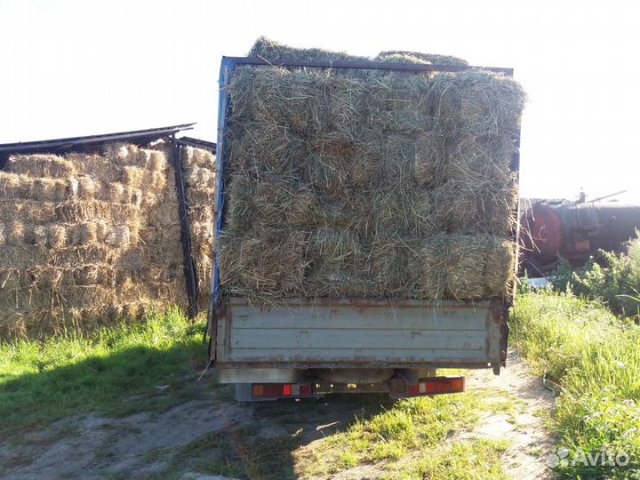 Сено в кипах