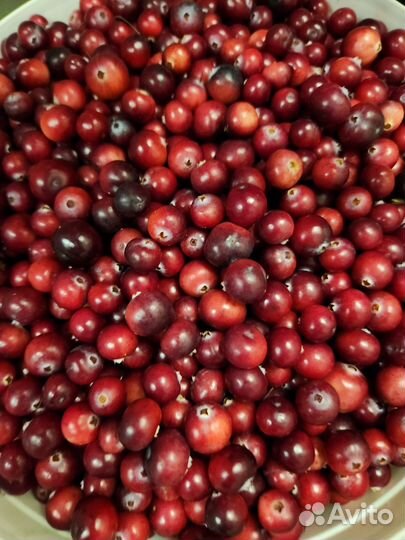 Клюква свежая с доставкой по городу