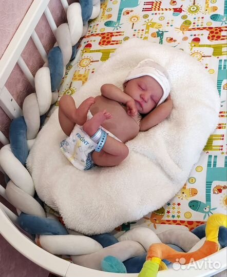 Реборн Леви