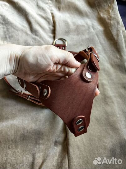 Шлейка кожа Аркон 70-87 см, намордник силикон 31см