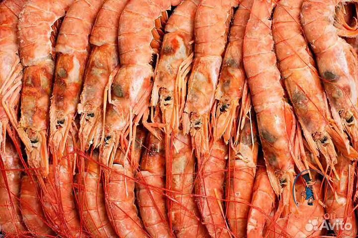 Морепродукты Раки Рыба