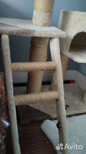 Когтеточка