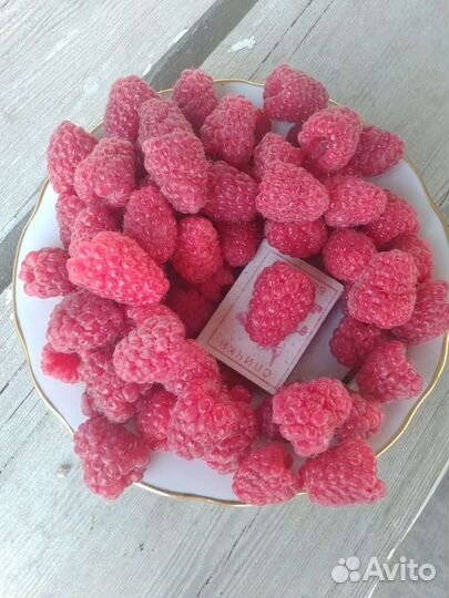 Малина сортовая