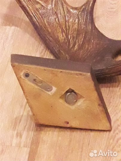 Рог лося с медальоном