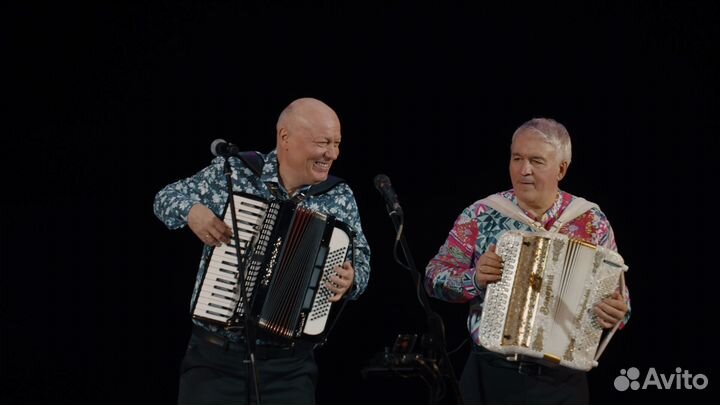 Аккордеонист (гармонист, баянист).Застольные песни