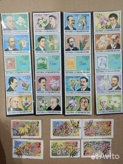 Птицы и цветы ученые первооткрыватели серии