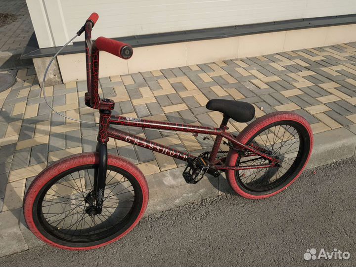 BMX teach team grashopper
