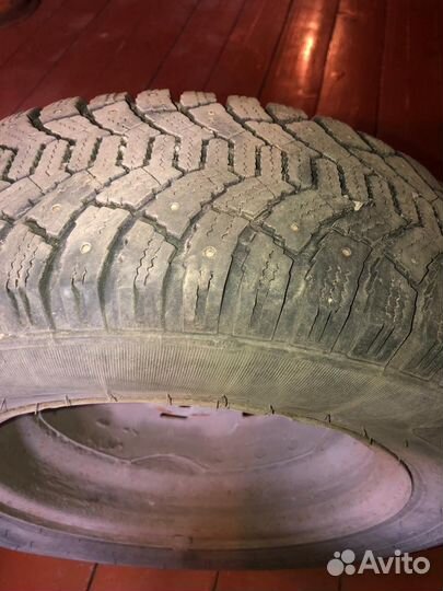 Cordiant Polar 175/70 R13