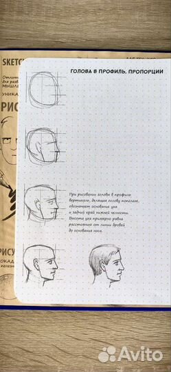 Sketchbook рисуем человека