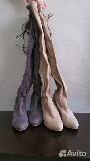 Ботфорты сезона 2023-2024 г