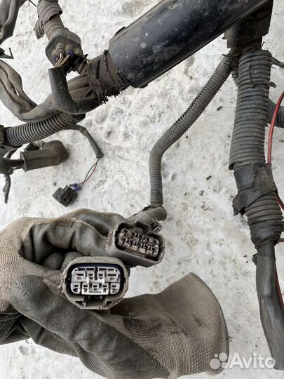 Коса двигателя Toyota Corolla 120 3c-e дизель