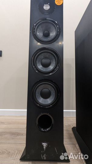 Напольная акустика Focal Chora 826