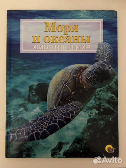 Моря и океаны.Животный мир