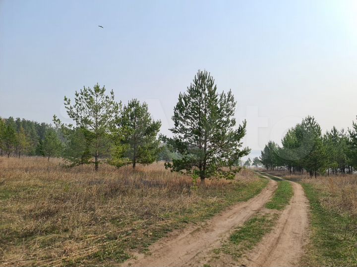 Участок 5 га (СНТ, ДНП)