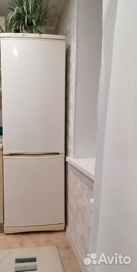 Холодильник stinol