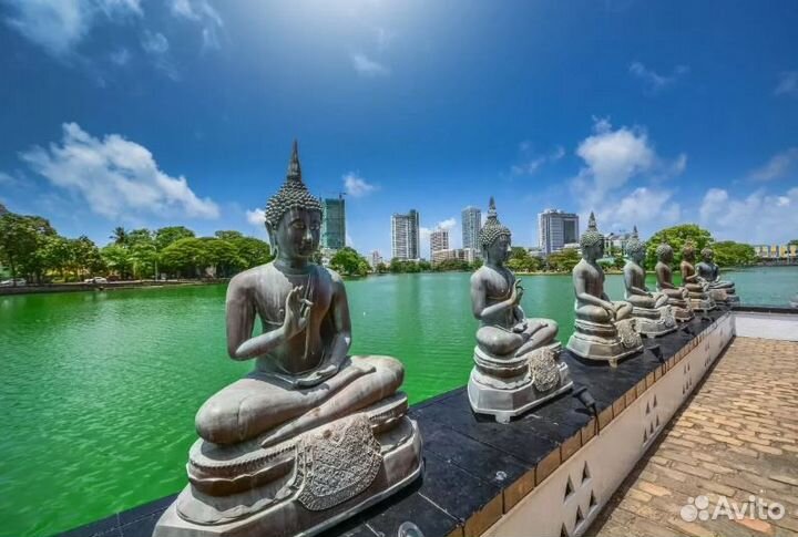 Relax тур на Шри-Ланку на 7 нч за двоих человек