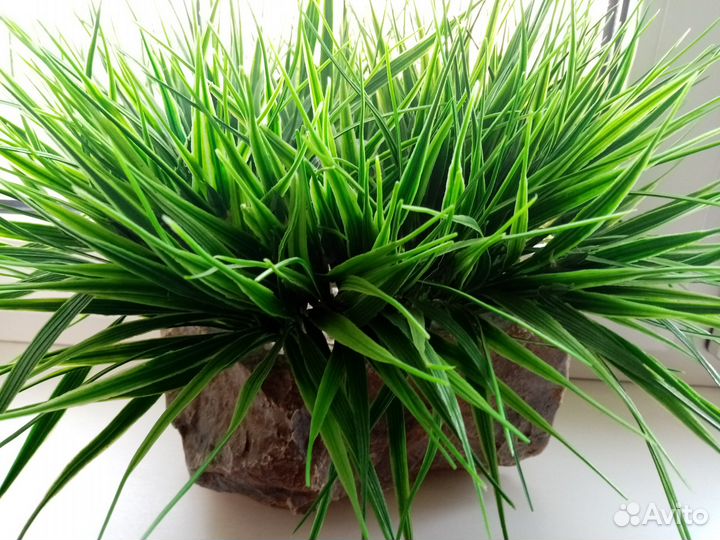 Кашпо из камня с искусственной травой