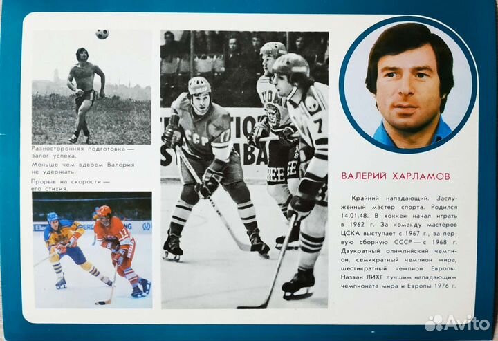 Ледовая дружина, Хоккейная дружина