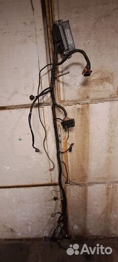 Эбу мозги на газель 4216