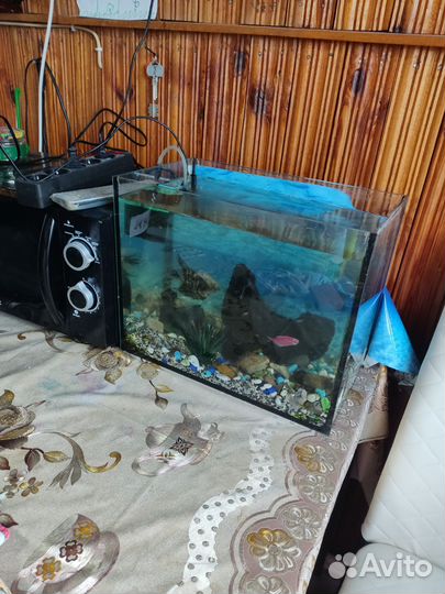 Аквариум